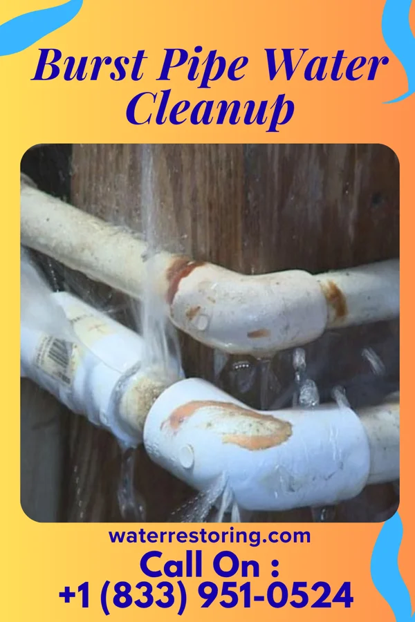 Burst Pipe Water Cleanup in Underwood, MN
