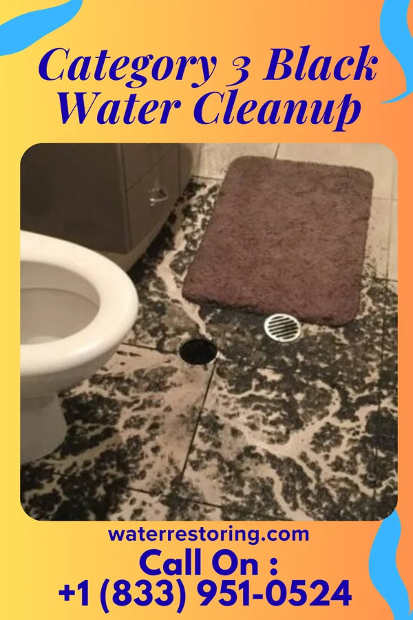 Category 3 Black Water Cleanup in Underwood, MN